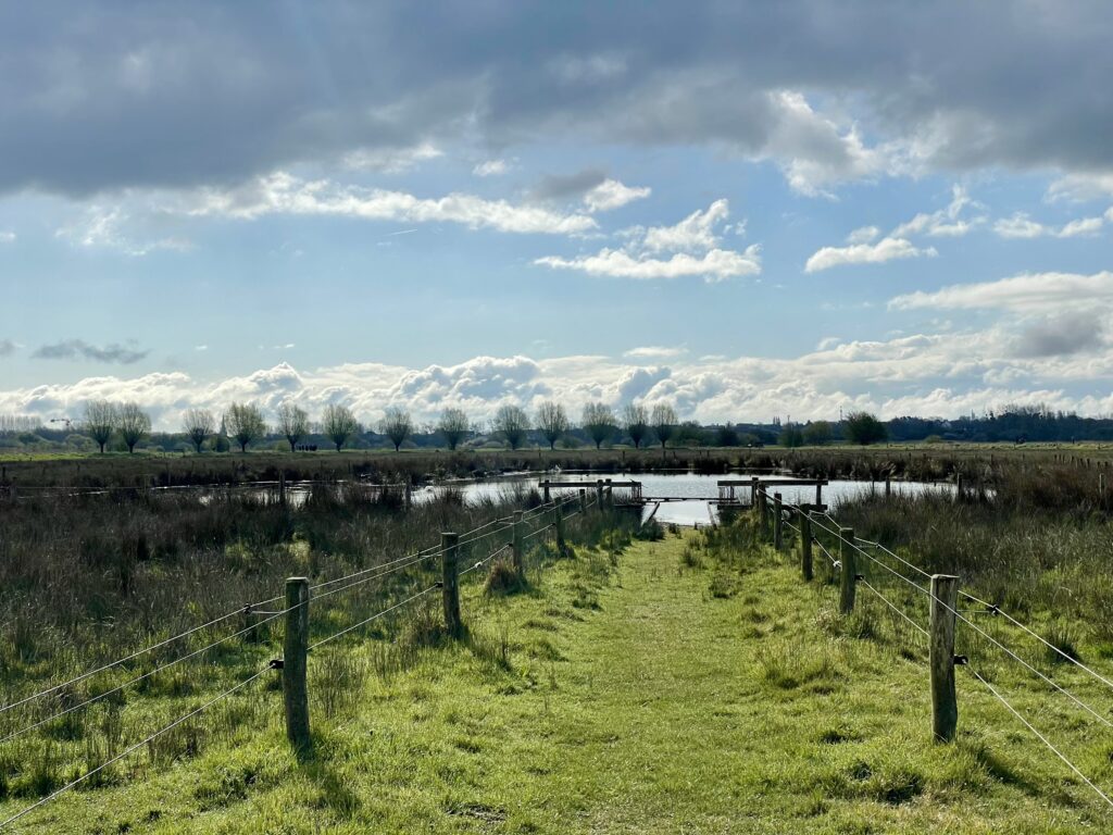 Paysage de la Maison du Parc Naturel Régional du Cotentin et du Bessin