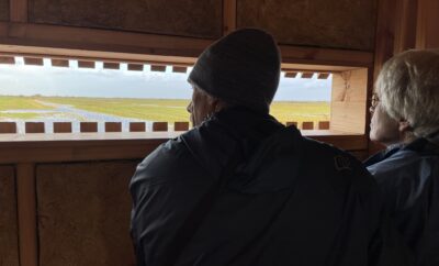 La réserve ornithologique de Beauguillot : un incontournable en baie de Carentan