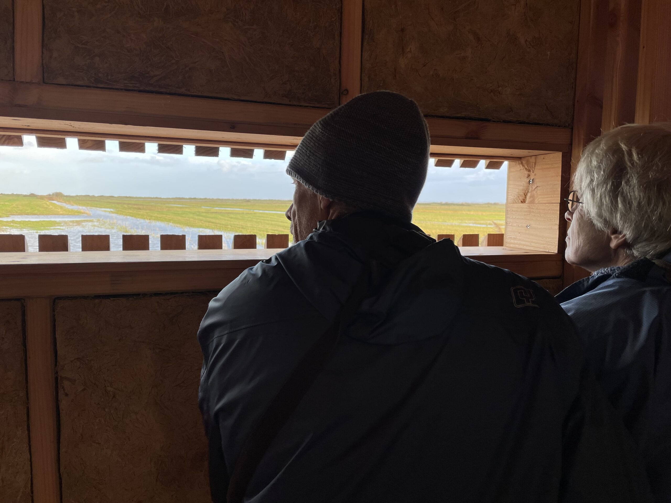 La réserve ornithologique de Beauguillot : un incontournable en baie de Carentan